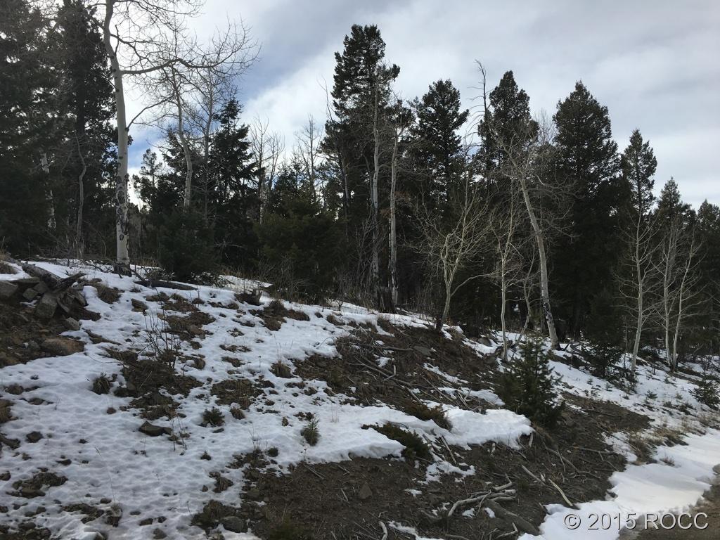 1932 Blacksmith Road Hartsel, CO 80449 - Photo 2 of 4