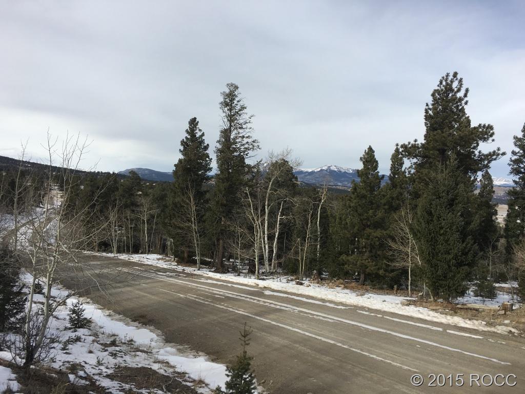 1932 Blacksmith Road Hartsel, CO 80449 - Photo 3 of 4