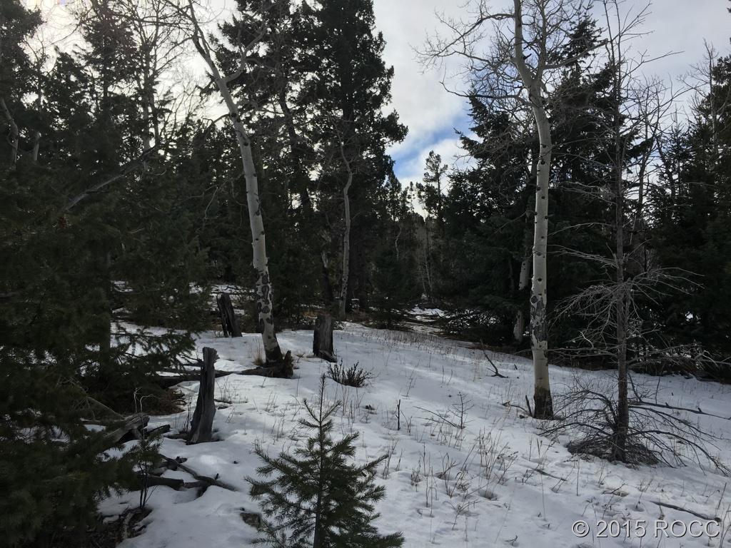 1932 Blacksmith Road Hartsel, CO 80449 - Photo 4 of 4