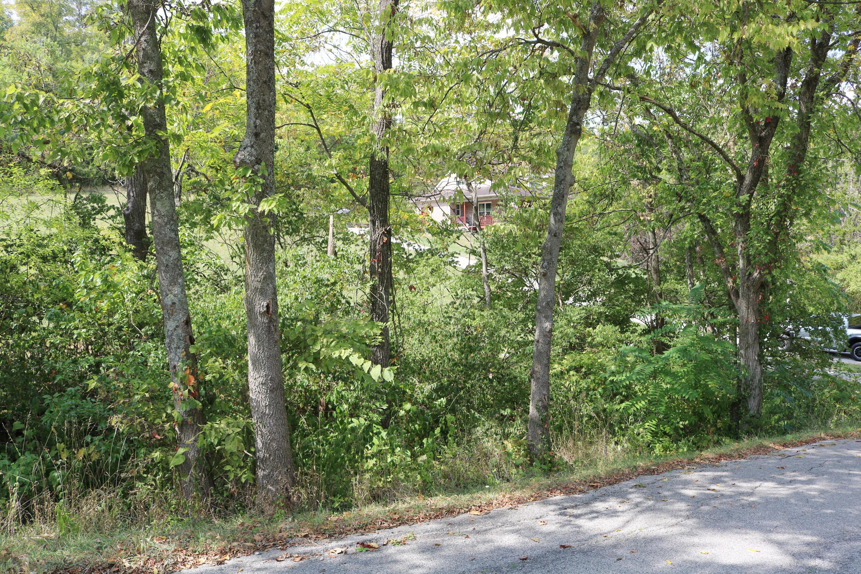 1.04 Acres Uhl Road Melbourne, KY 41059 - Photo 10 of 14 Gallery Image 10