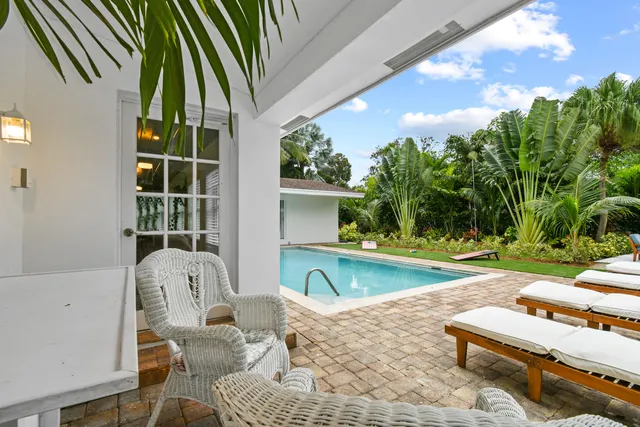 a roof deck with table and chairs potted plants and a palm tree