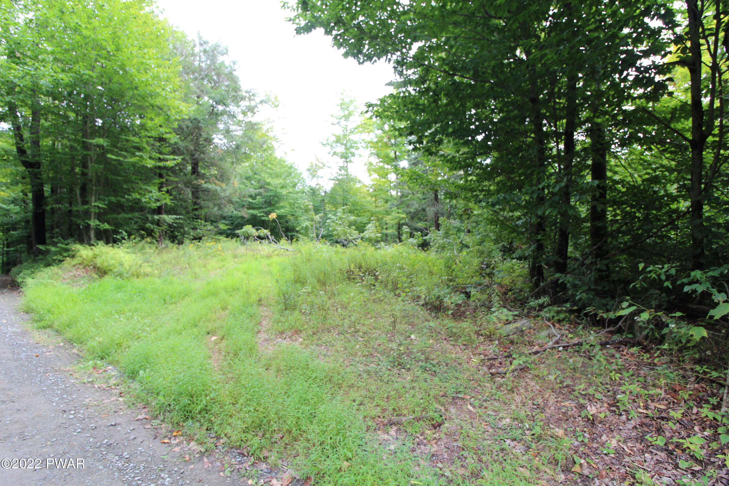 South Turnpike Road Newfoundland, PA 18445 - Photo 10 of 13