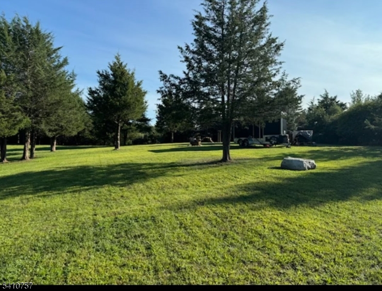 a view of a park with kids park