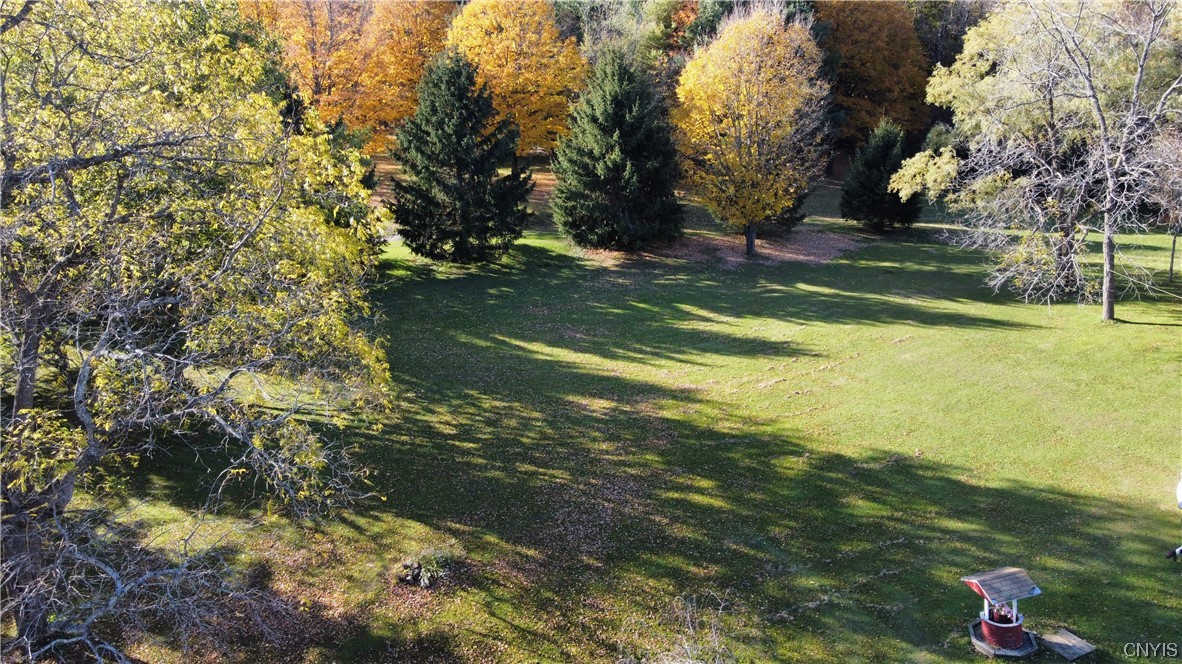 635 Strong Road Tully, NY 13159 - Photo 4 of 30 Yard