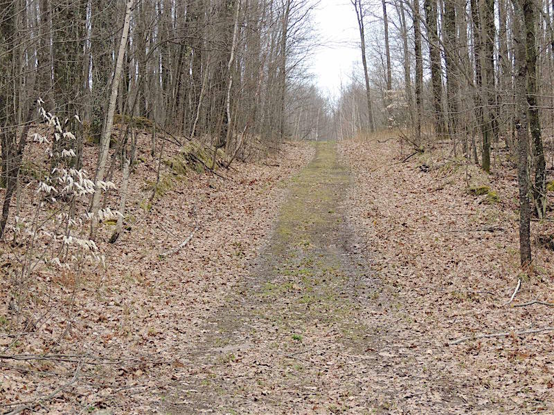 Antigo3