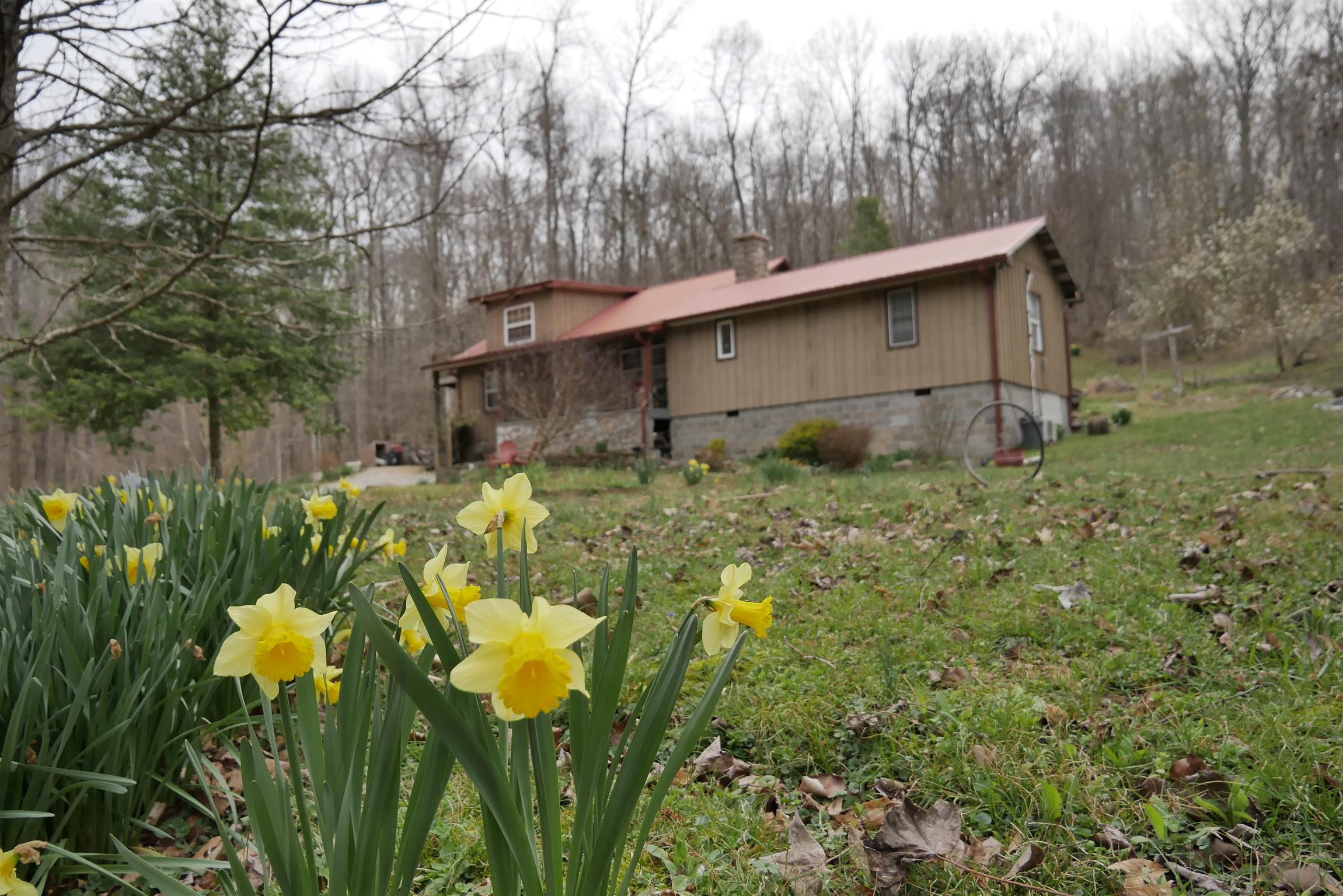 274 Williams Hollow Road Linden, TN 37096 - Photo 2 of 29 Gallery Image 2