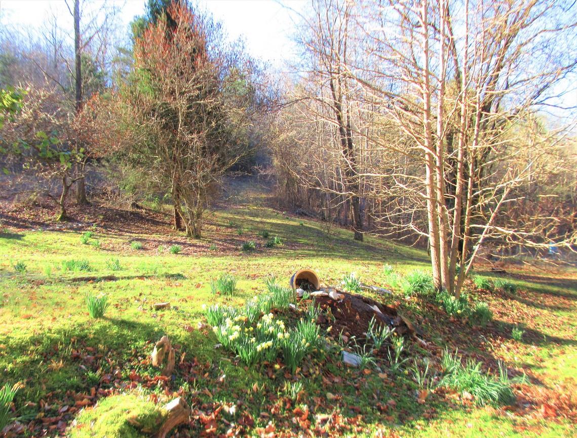 274 Williams Hollow Road Linden, TN 37096 - Photo 24 of 29 Gallery Image 24