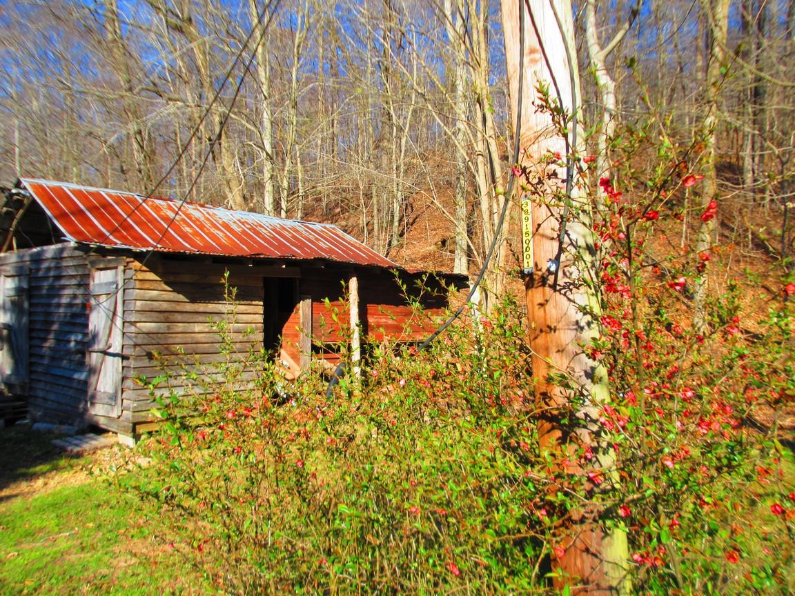 274 Williams Hollow Road Linden, TN 37096 - Photo 25 of 29 Gallery Image 25