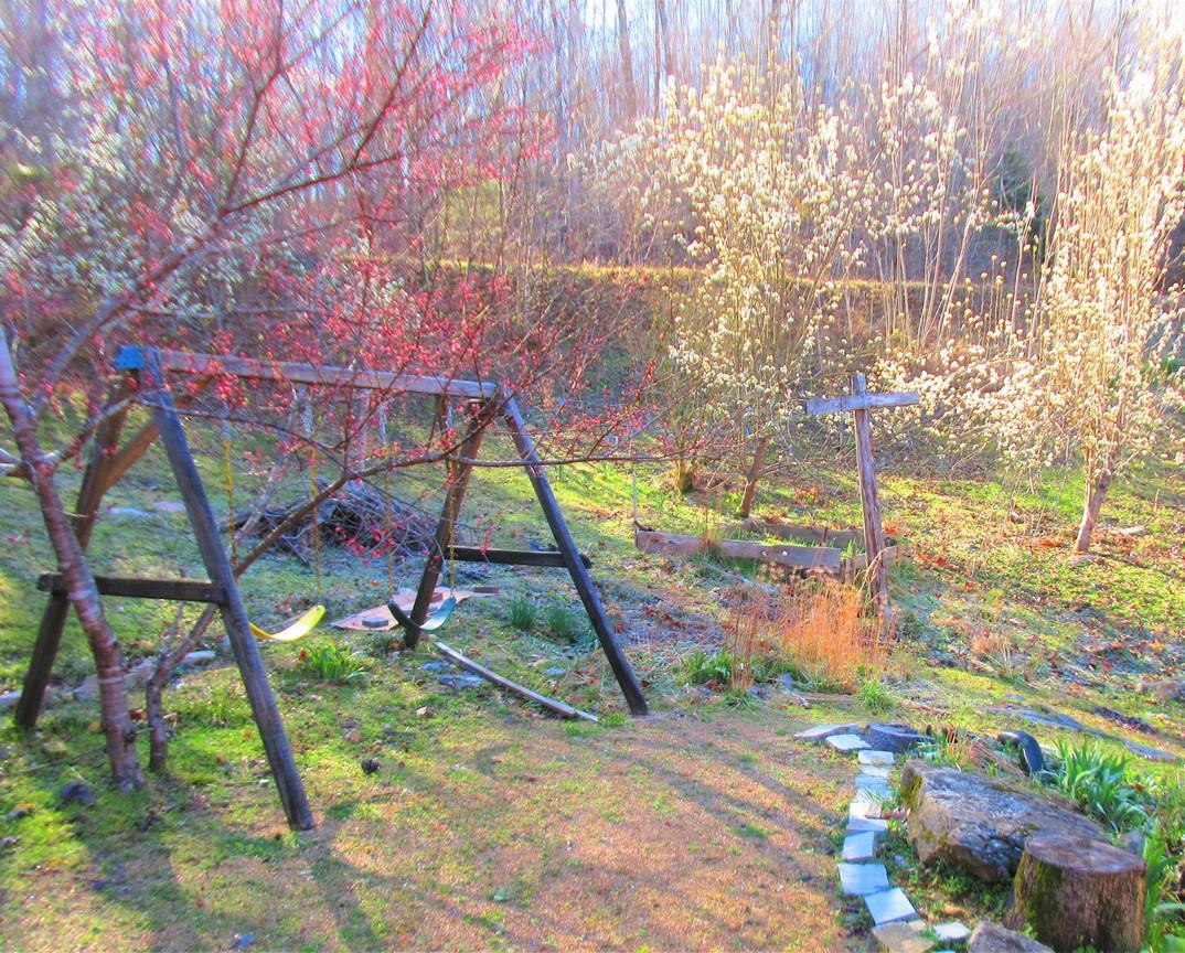 274 Williams Hollow Road Linden, TN 37096 - Photo 28 of 29 Gallery Image 28