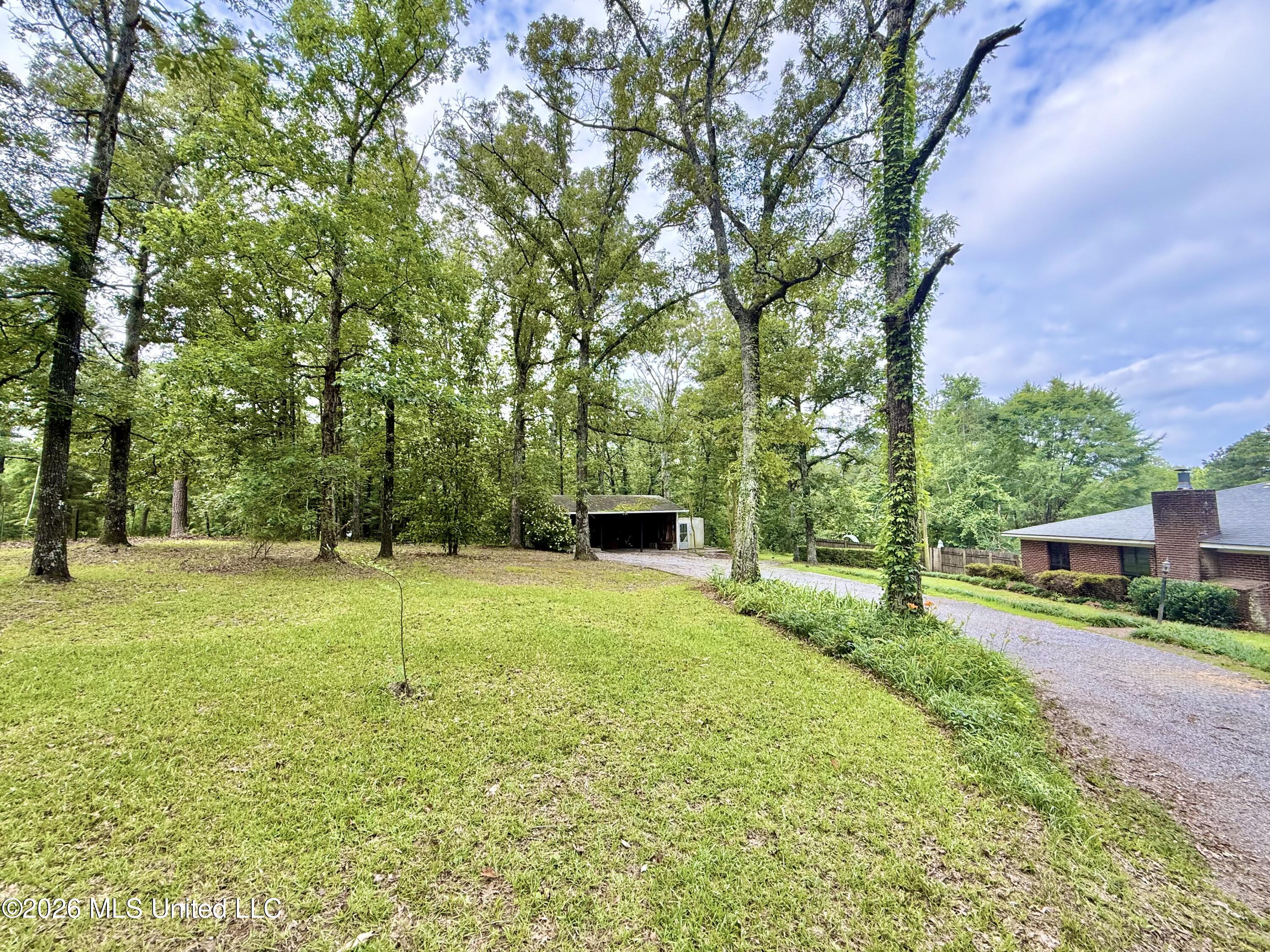 1019 Dry Grove Road Crystal Springs, MS 39059 - Photo 4 of 53 IMG_4381