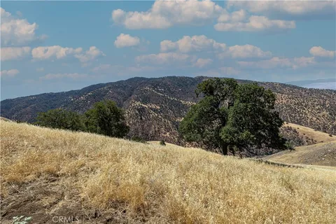 a view of a dry yard