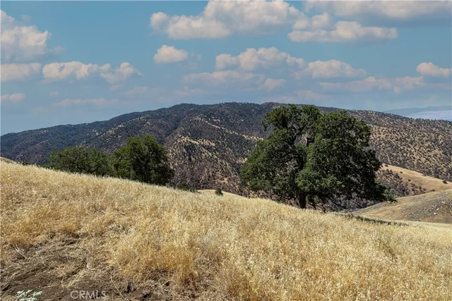a view of a dry yard