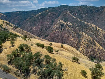 a view of a dry yard