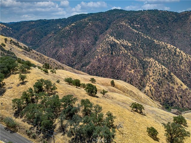 a view of a dry yard