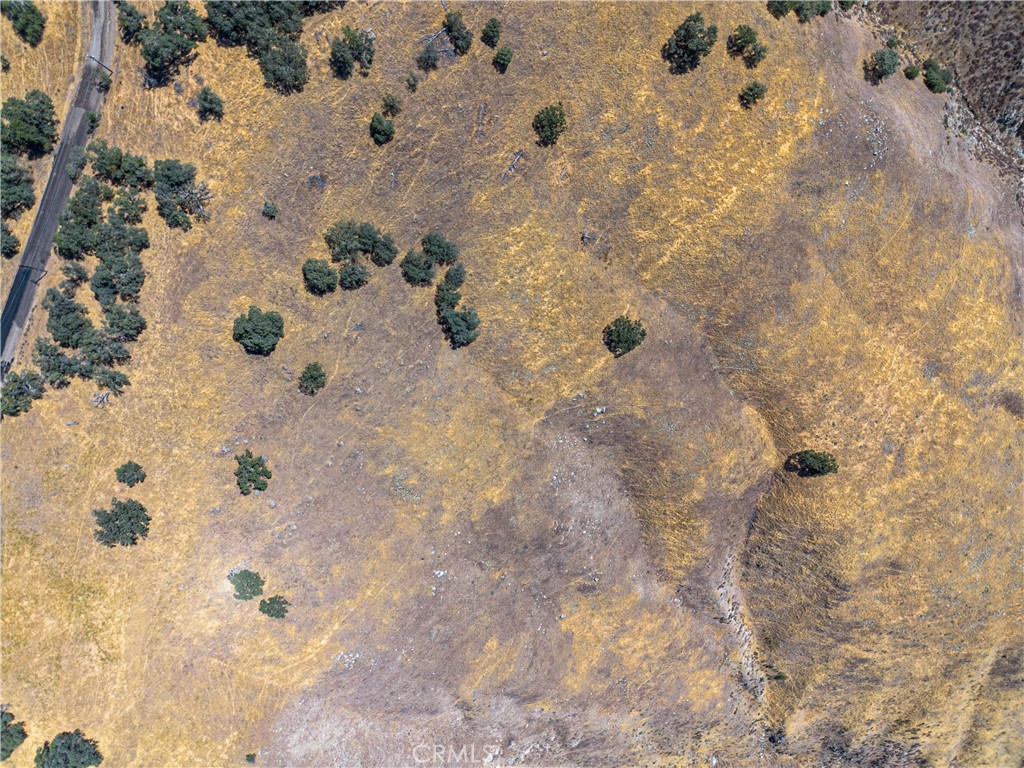 29201 Deertrail Drive Tehachapi, CA 93561 - Photo 8 of 16 a bathroom with a shower