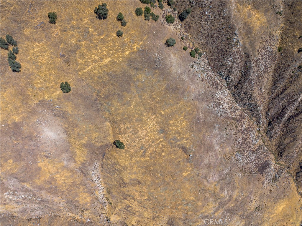 29201 Deertrail Drive Tehachapi, CA 93561 - Photo 9 of 16 a bathroom with a shower