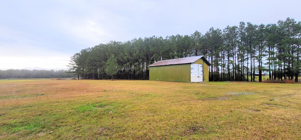 Lot 1 Helms Road Dothan, AL 36301 - Photo 6 of 12