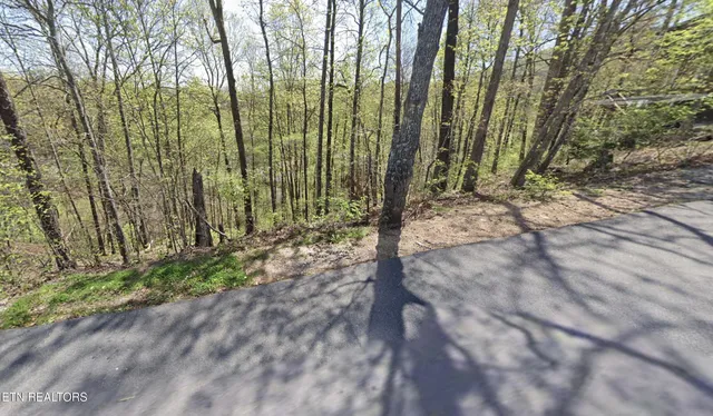 $35,000 | Lot 1 West Gold Dust Drive, Pigeon Forge, TN 37863