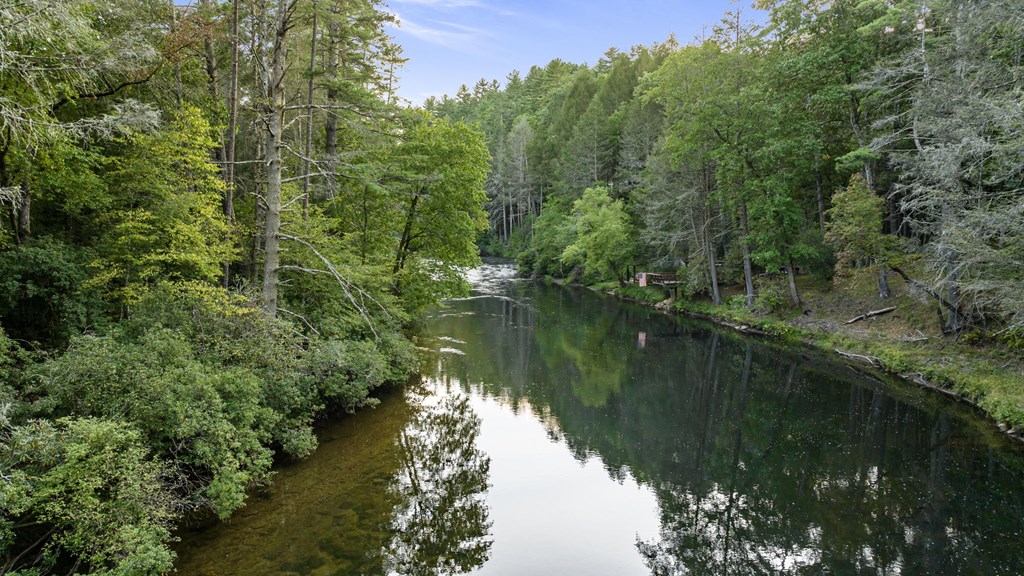 767 River Ridge Road Blue Ridge, GA 30513 - Photo 14 of 53 Gallery Image 14