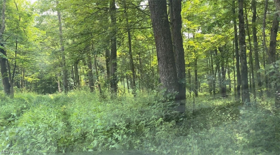 43 State Rte 43 Route Amsterdam, OH 43903 - Photo 27 of 29 Gallery Image 27