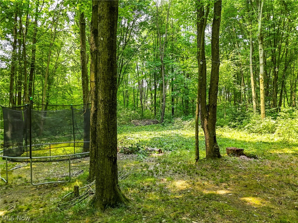 15980 Adams Road Middlefield, OH 44062 - Photo 8 of 49 View of landscape