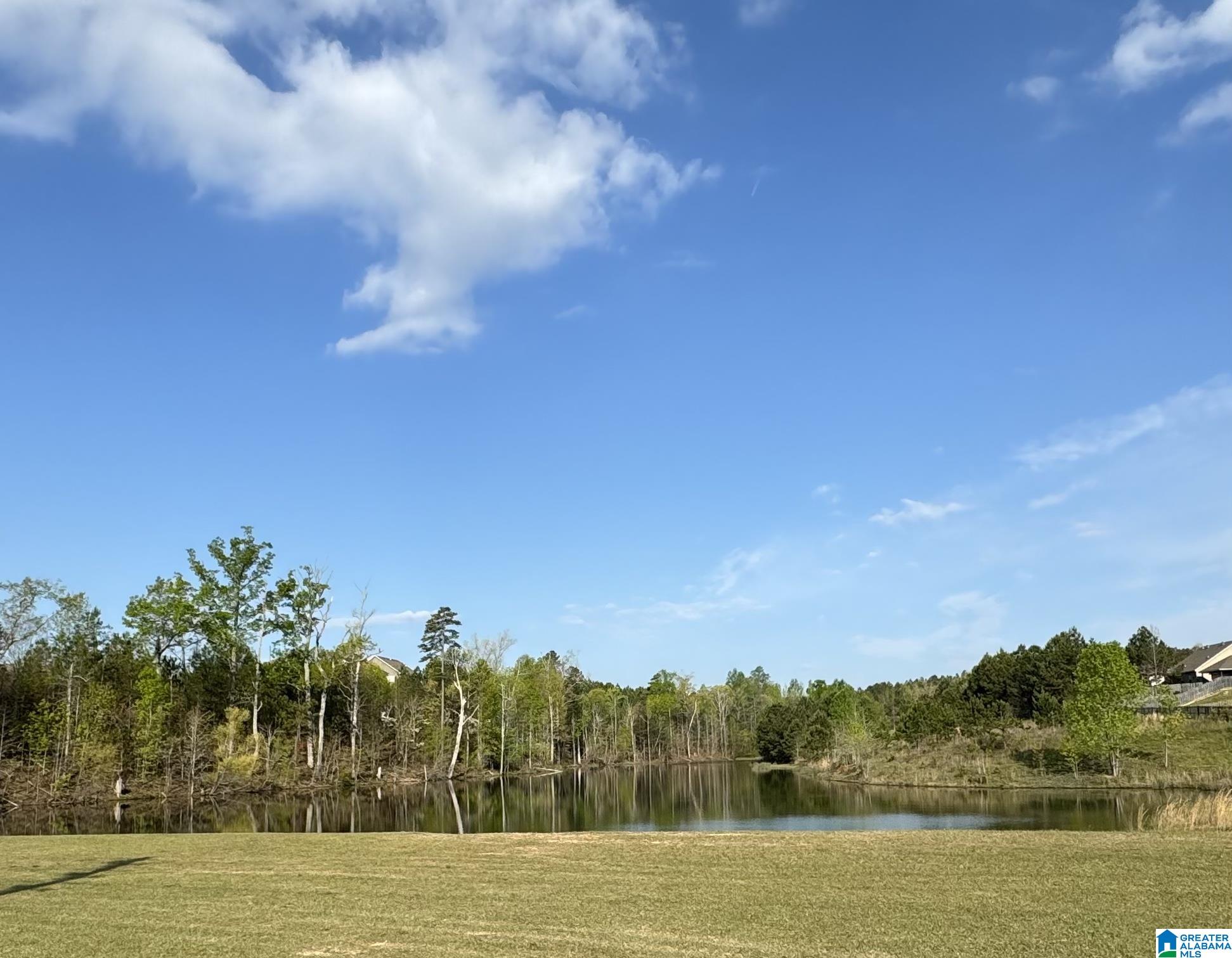 1015 Legacy Cove South Springville, AL 35146 - Photo 37 of 38