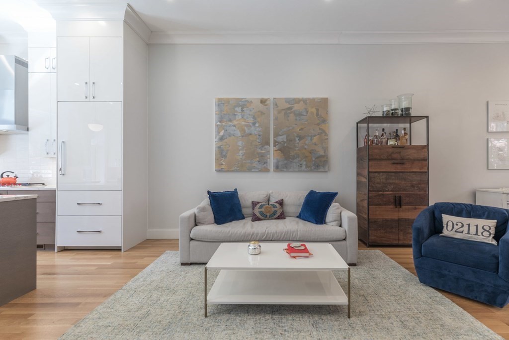 44 Upton Street, Unit 1 Boston, MA 02118 - Photo 9 of 35 a living room with furniture and a couch