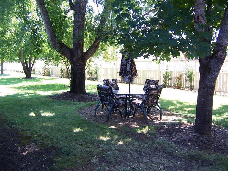 2784 Merlin Road Grants Pass, OR 97526 - Photo 8 of 31 Side Yard Area (with IG Sprinklers)