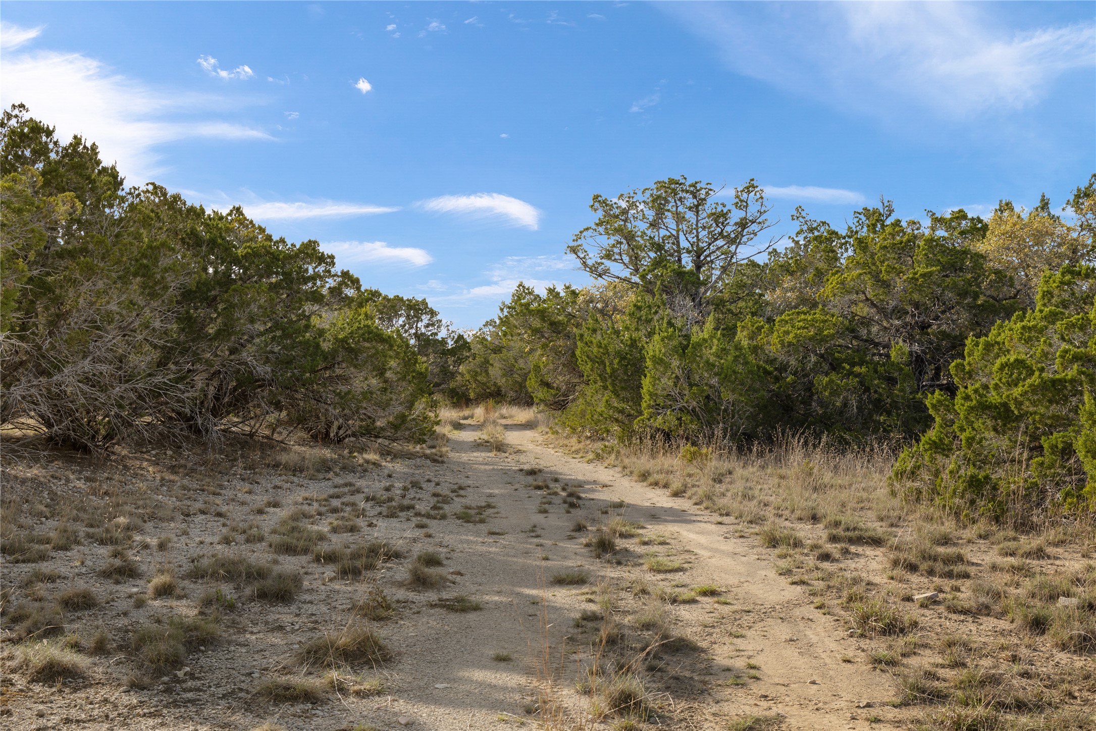 892 Baird Ranch Road Johnson City, TX 78636 - Photo 11 of 39 a view of a dry yard with lots of bushes