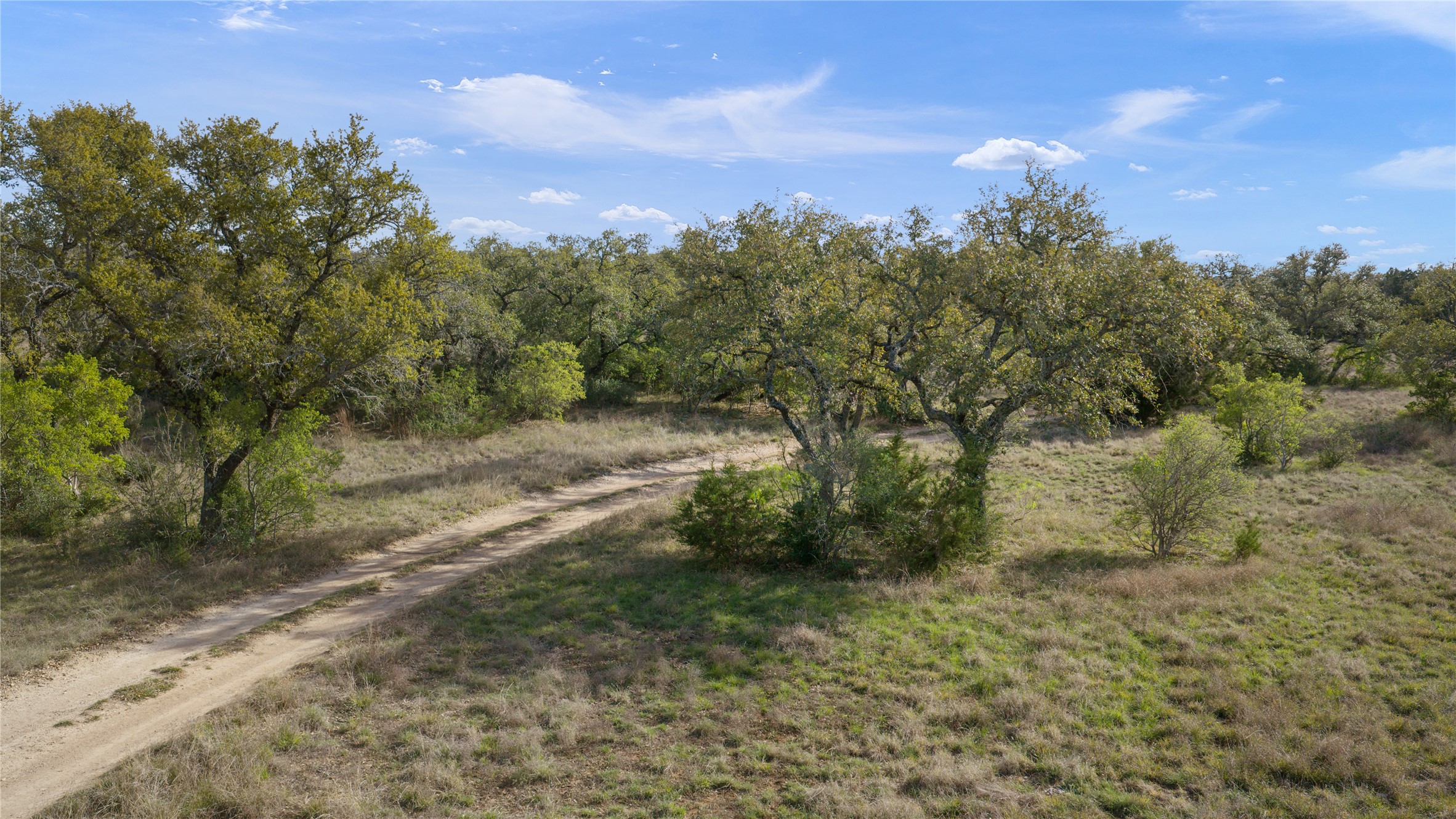 892 Baird Ranch Road Johnson City, TX 78636 - Photo 24 of 39 a view of a yard with trees in front of the house