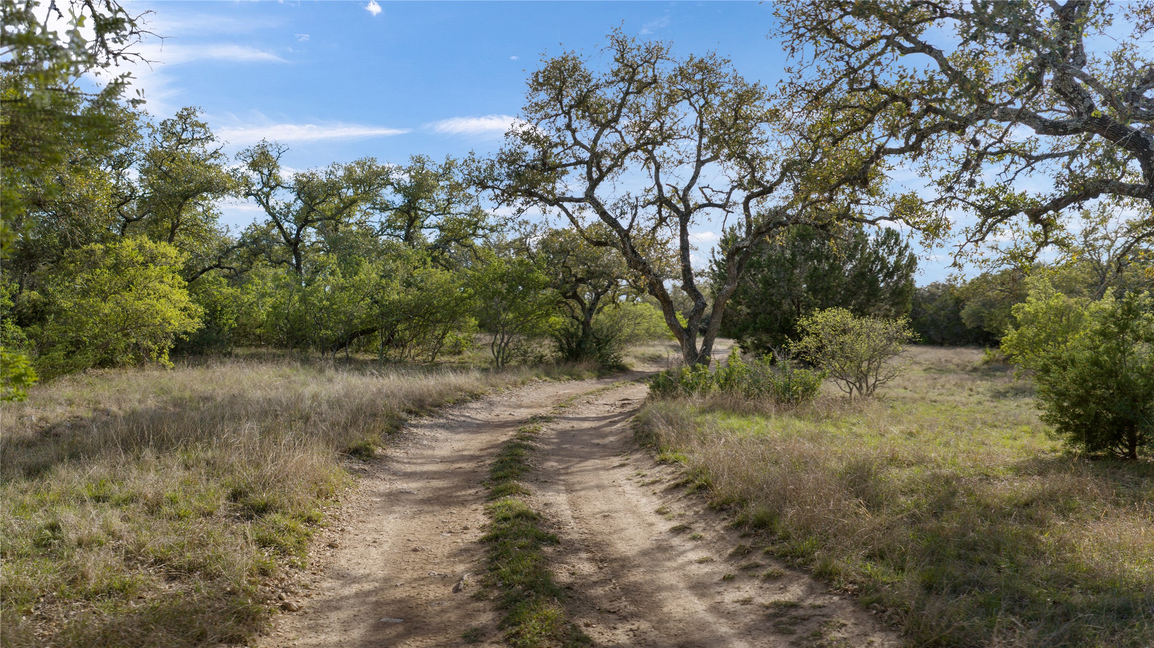 892 Baird Ranch Road Johnson City, TX 78636 - Photo 25 of 39 a view of a forest filled with trees