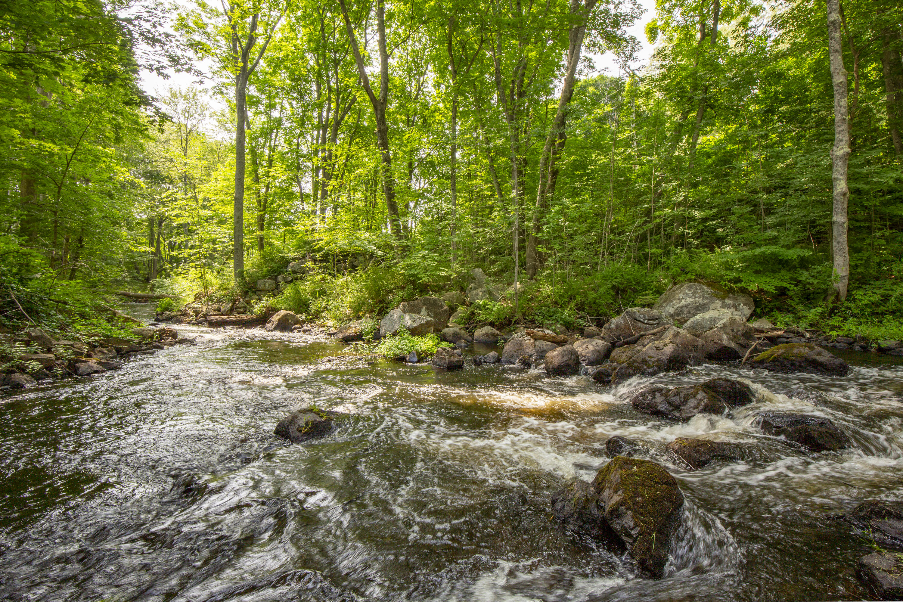 13 Upper Round Pond Road Bristol, ME 04539 - Photo 46 of 47 08-13UpperRoundPondRd-Bristol-KS