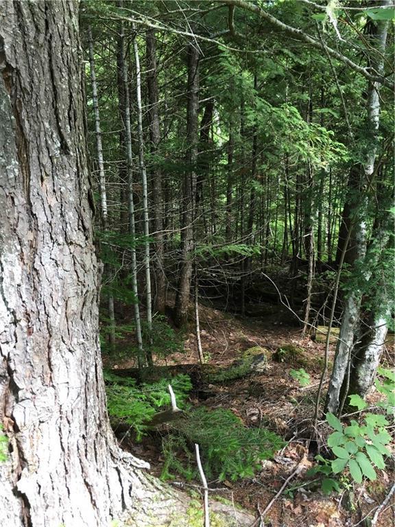 Lot 48 Woodsman Mill Road Lowell, ME 04417 - Photo 3 of 6 Photo