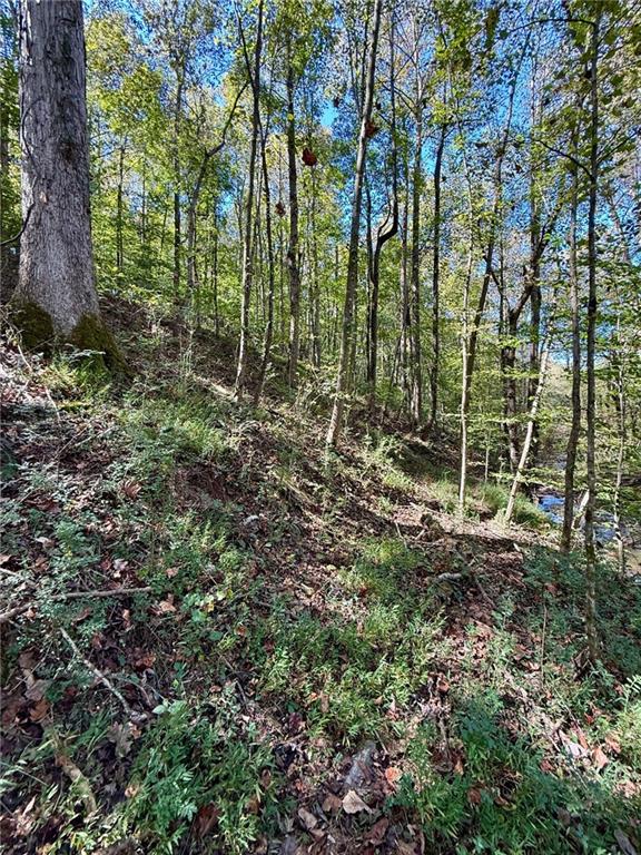 681 Mullinax Road Jasper, GA 30143 - Photo 26 of 36