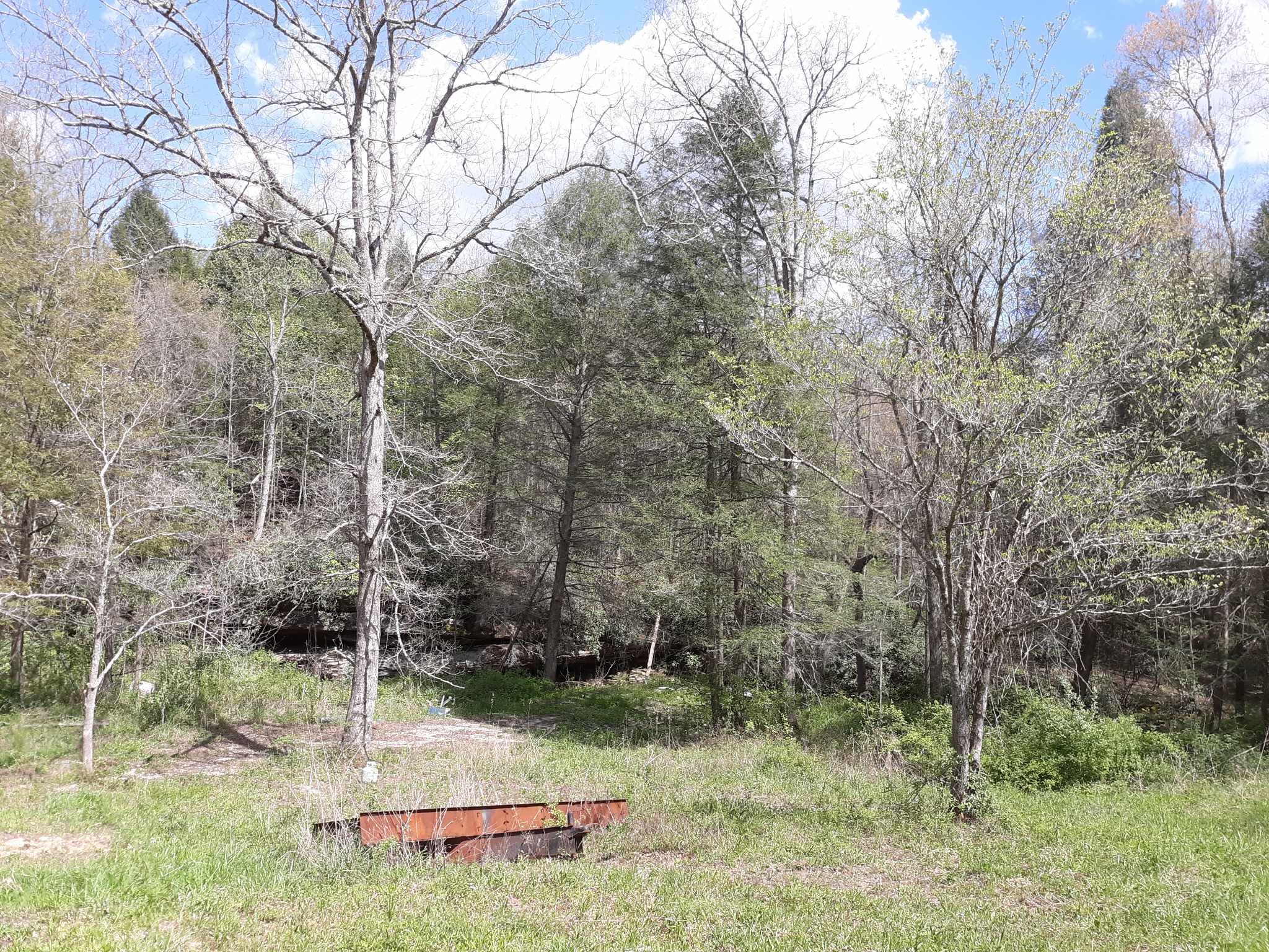 5030 Mt Helen Road Allardt, TN 38504 - Photo 11 of 35 Gallery Image 11