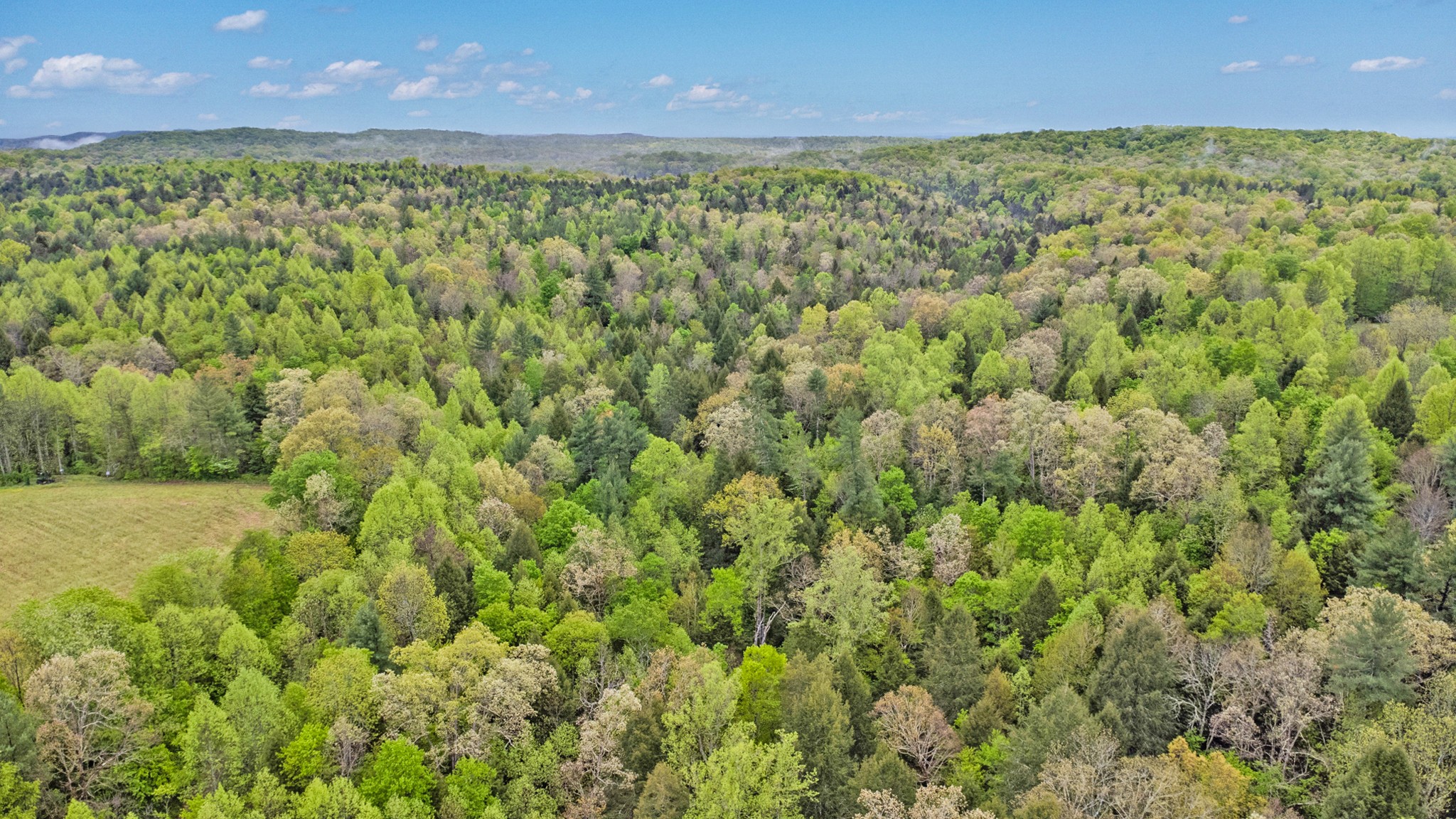 5030 Mt Helen Road Allardt, TN 38504 - Photo 31 of 35 Gallery Image 31
