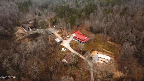 a view of a house with a yard and large tree