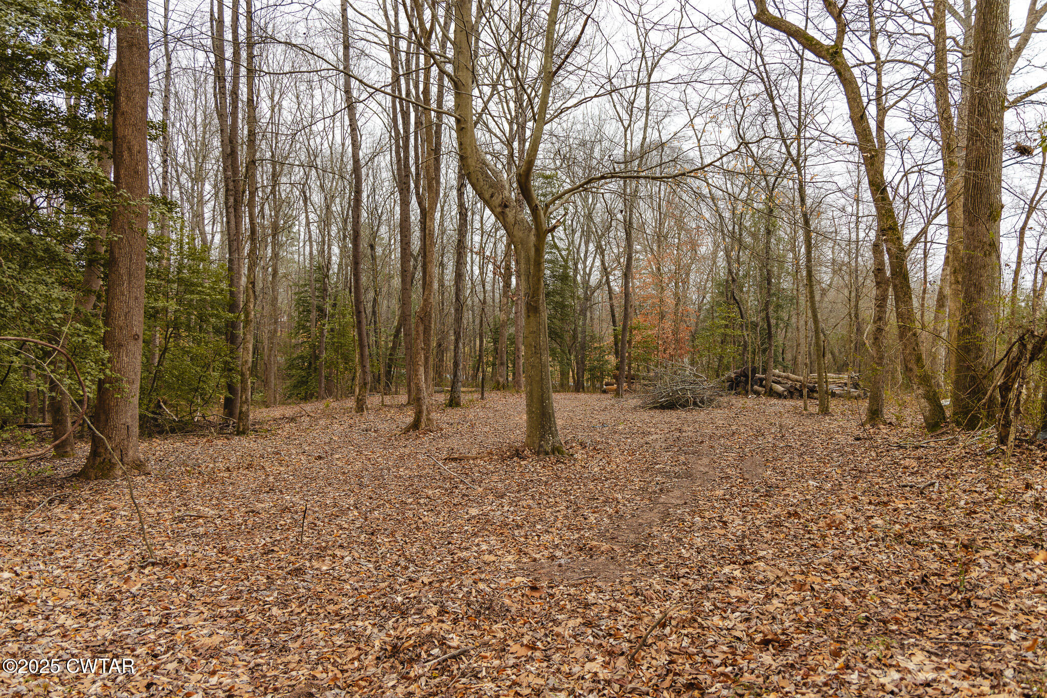 1421 Copper Spring Road Springville, TN 38256 - Photo 49 of 79 a backyard of a house with lots of green space