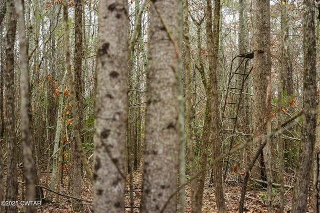 $629,000 | 1421 Copper Spring Road, Springville, TN 38256