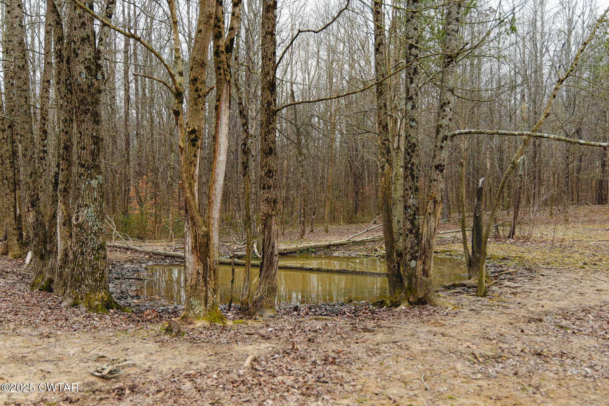 1421 Copper Spring Road Springville, TN 38256 - Photo 56 of 79 FT8A2162