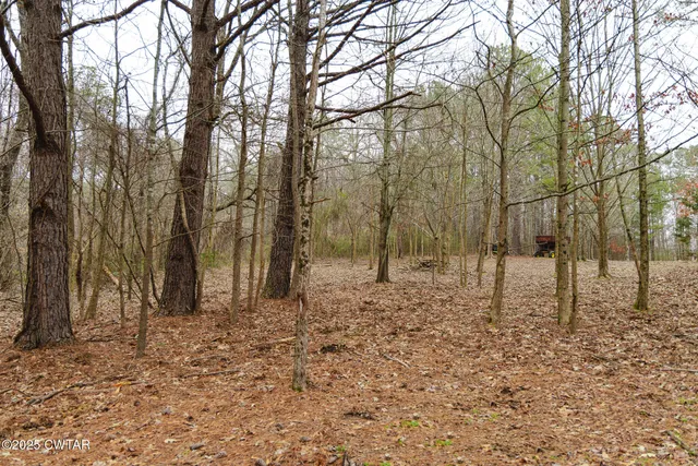 $629,000 | 1421 Copper Spring Road, Springville, TN 38256