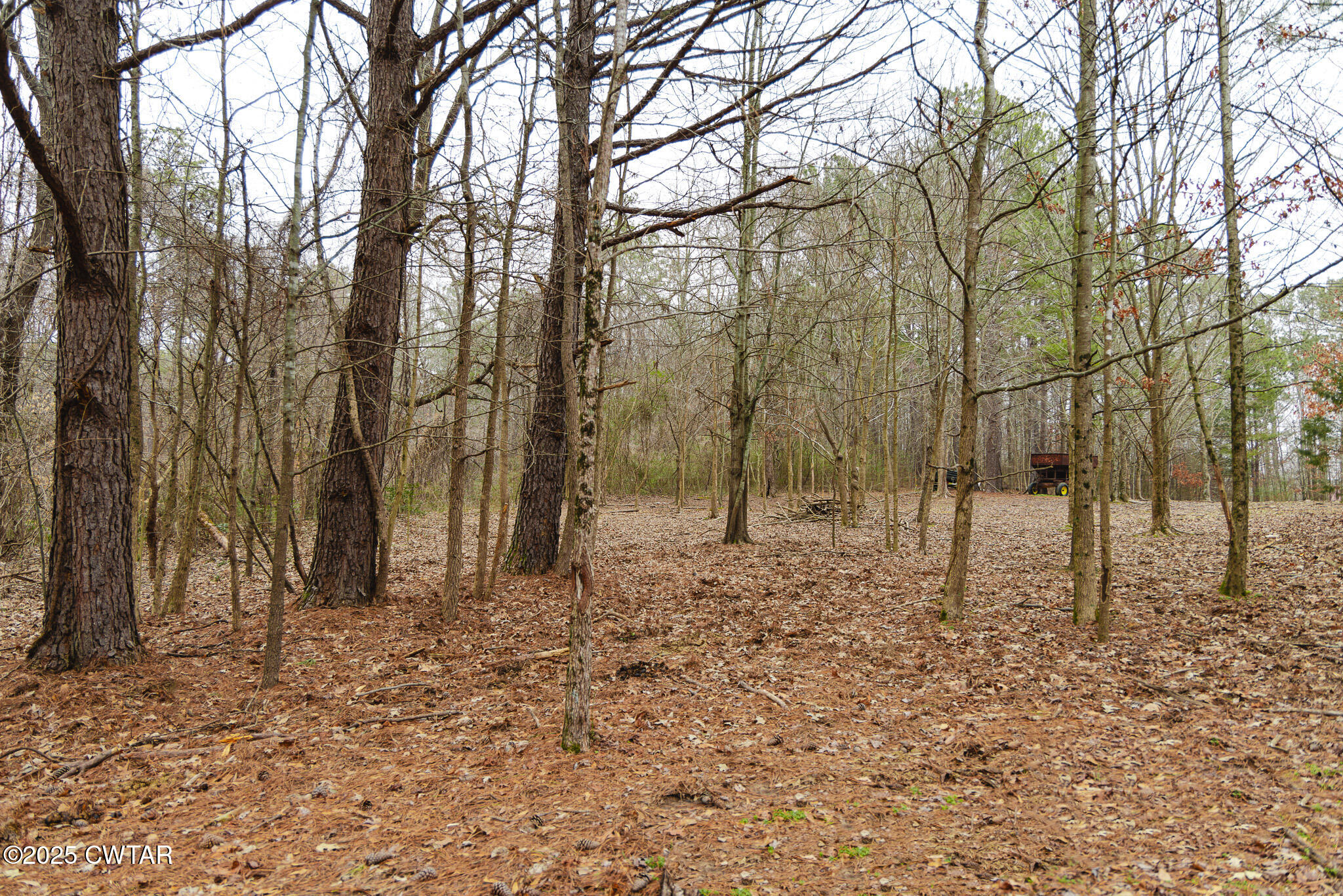 1421 Copper Spring Road Springville, TN 38256 - Photo 57 of 79 a backyard of a house with lots of green space