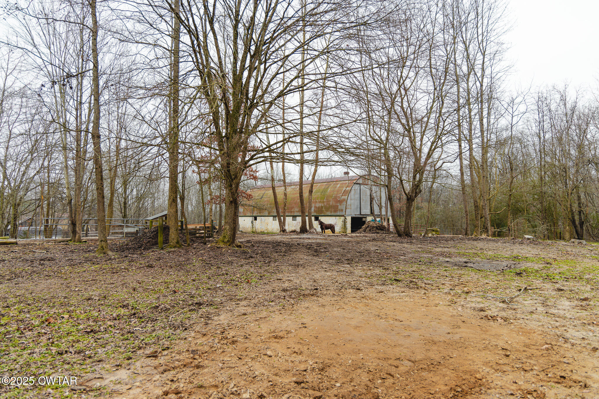 1421 Copper Spring Road Springville, TN 38256 - Photo 58 of 79 a view of a yard with a house