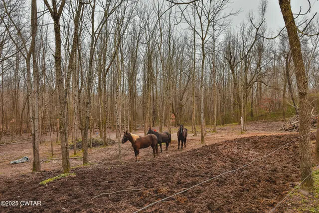 $629,000 | 1421 Copper Spring Road, Springville, TN 38256