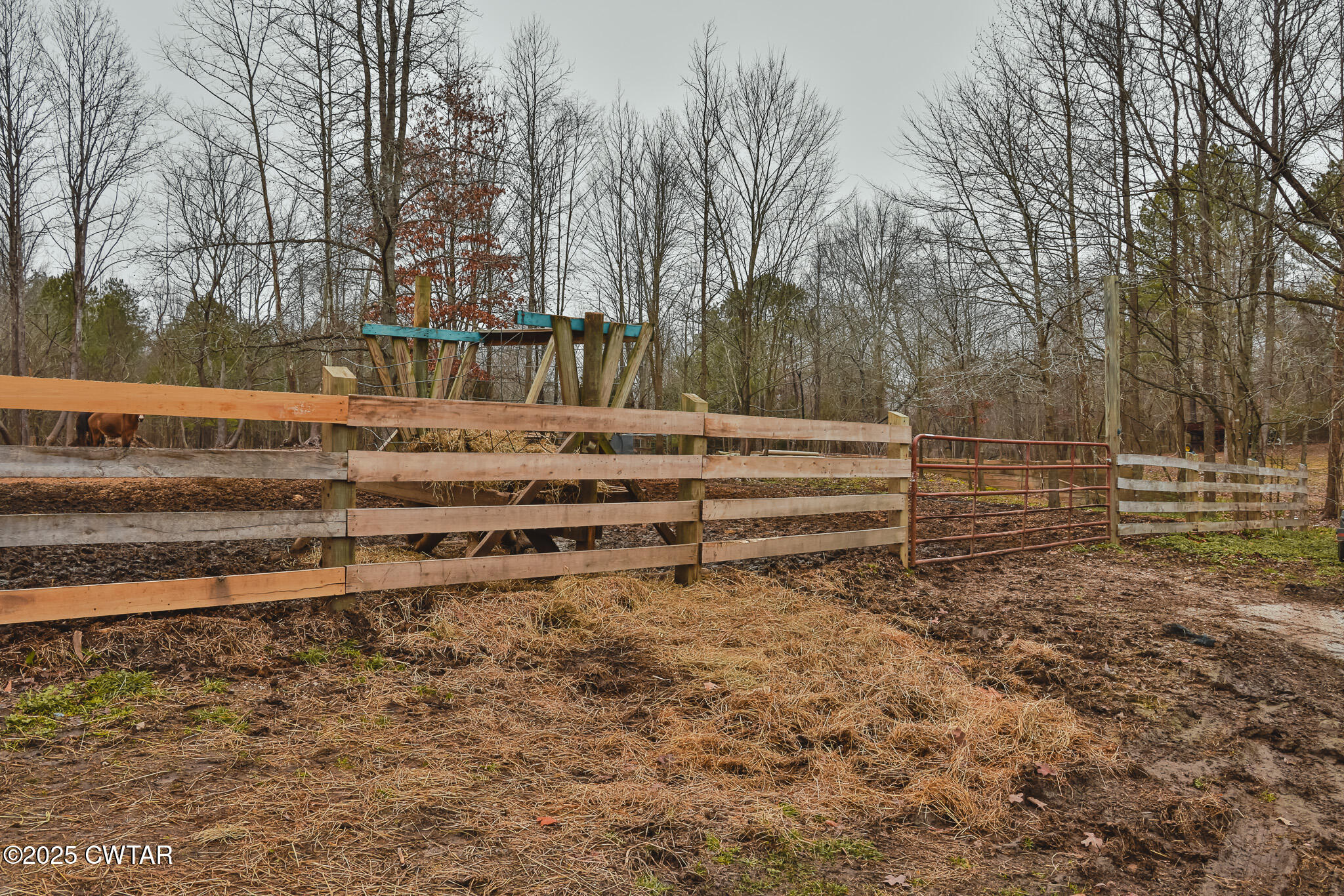 1421 Copper Spring Road Springville, TN 38256 - Photo 62 of 79 FT8A2048