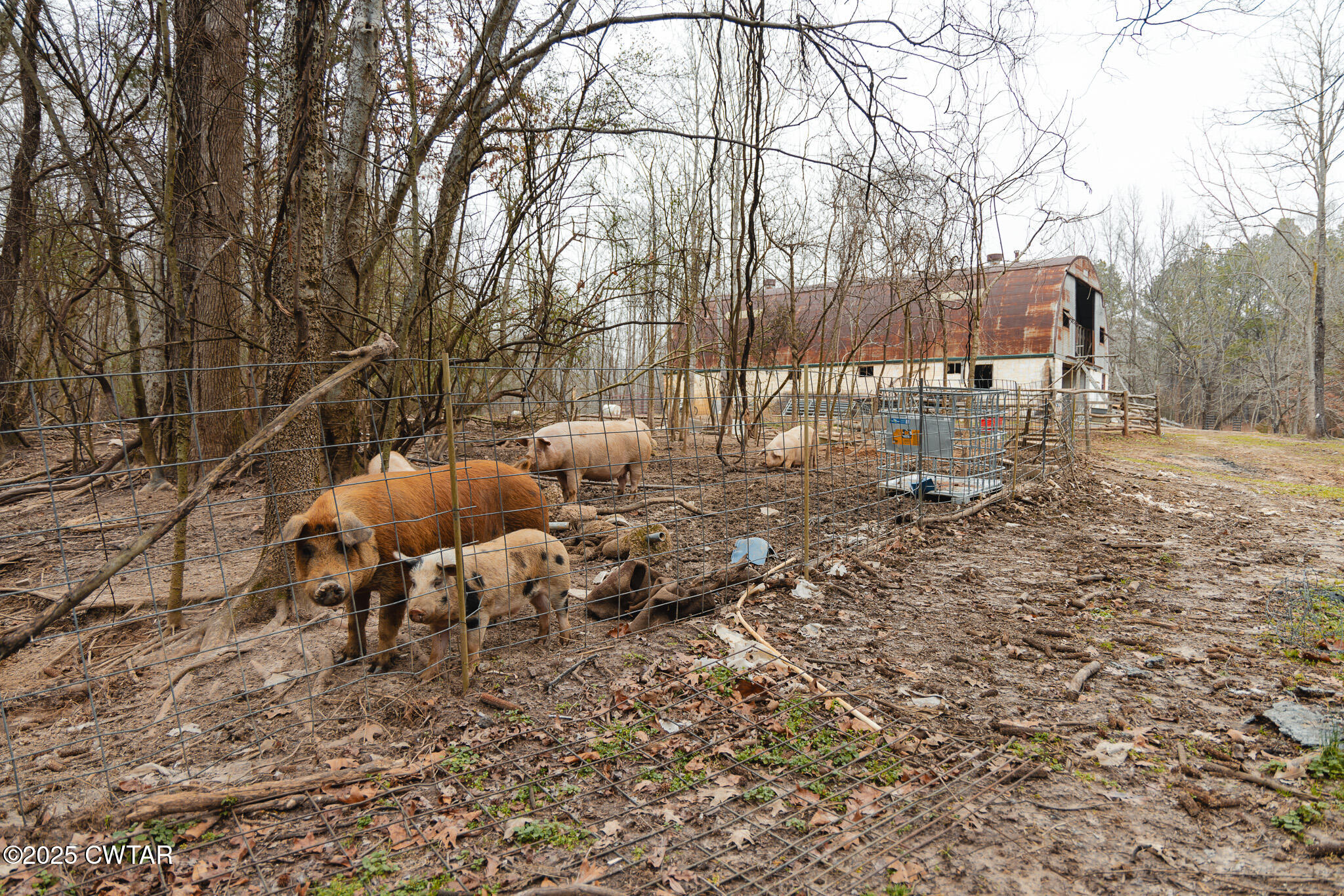 1421 Copper Spring Road Springville, TN 38256 - Photo 67 of 79 a backyard of a house with table and chairs