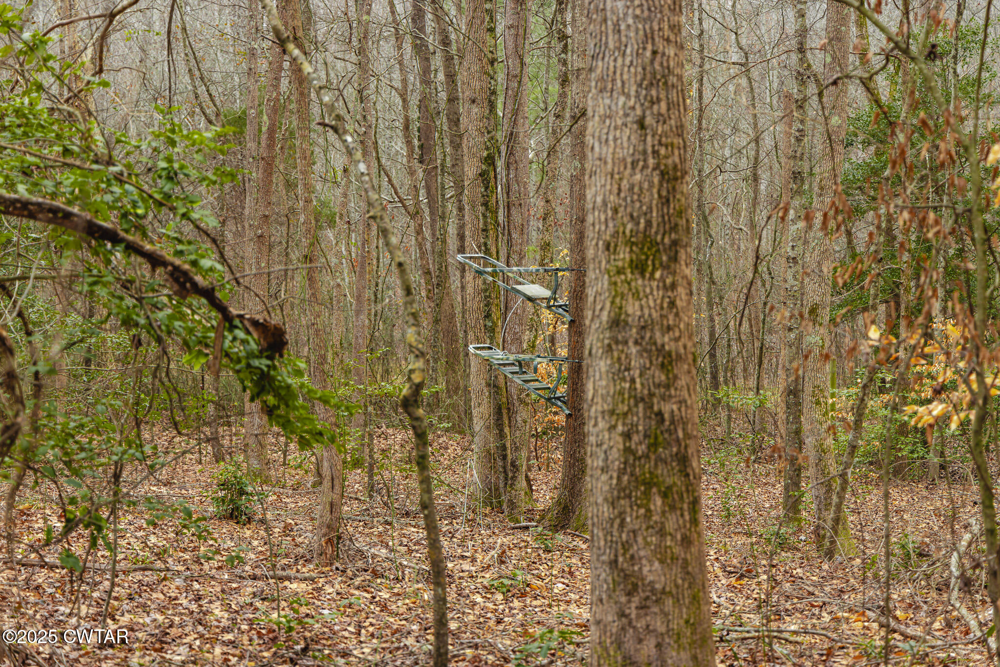 1421 Copper Spring Road Springville, TN 38256 - Photo 73 of 79 FT8A2175