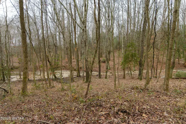 $629,000 | 1421 Copper Spring Road, Springville, TN 38256