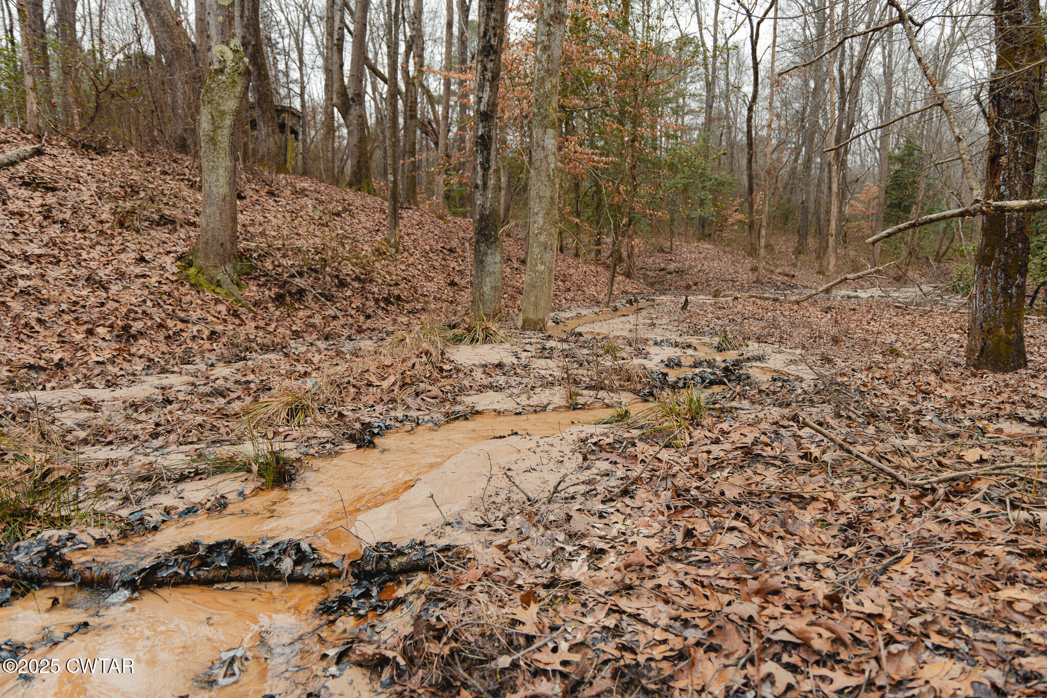 1421 Copper Spring Road Springville, TN 38256 - Photo 77 of 79 FT8A2196