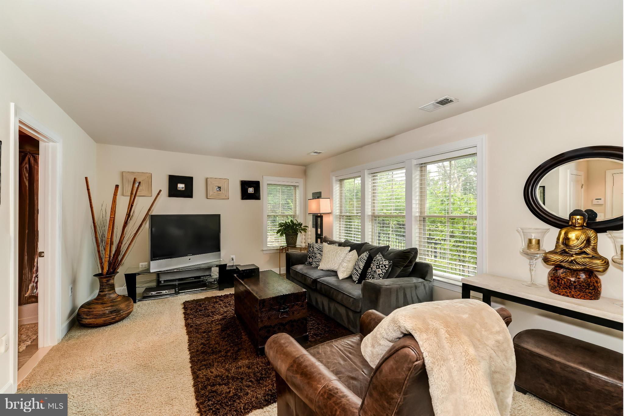 3309 Kemper Road Arlington, VA 22206 - Photo 2 of 23 Rec room